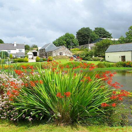 Polhilsa Farm Bed and Breakfast Callington Eksteriør billede