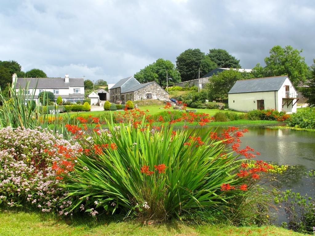 Polhilsa Farm Bed and Breakfast Callington Eksteriør billede