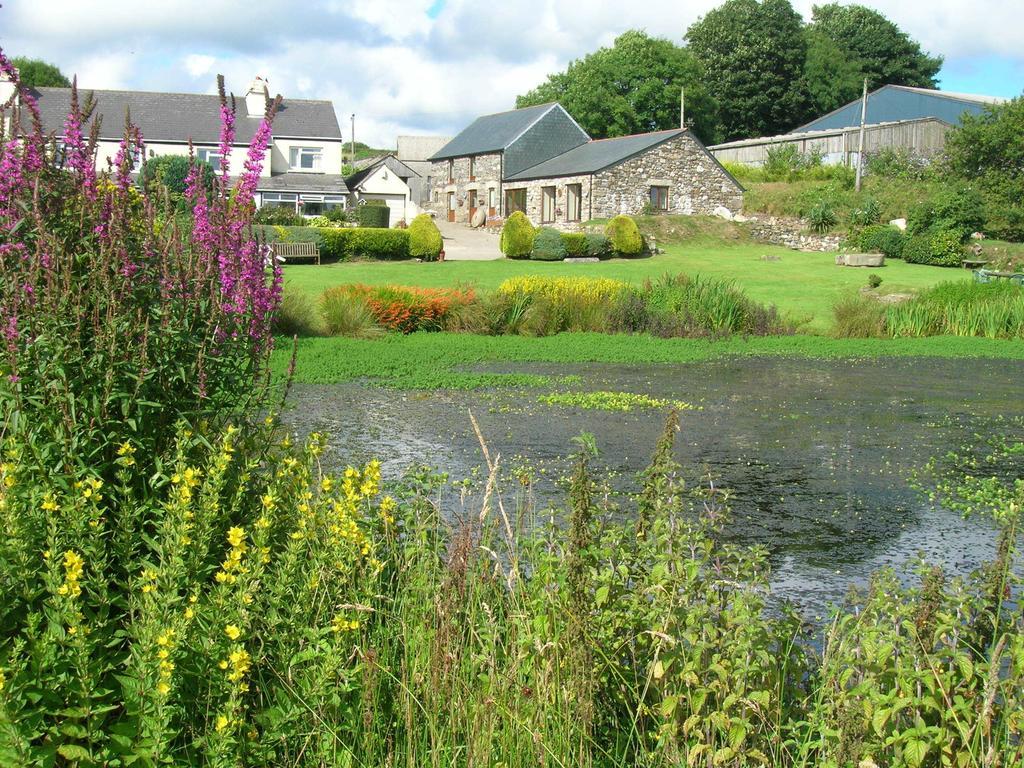 Polhilsa Farm Bed and Breakfast Callington Værelse billede